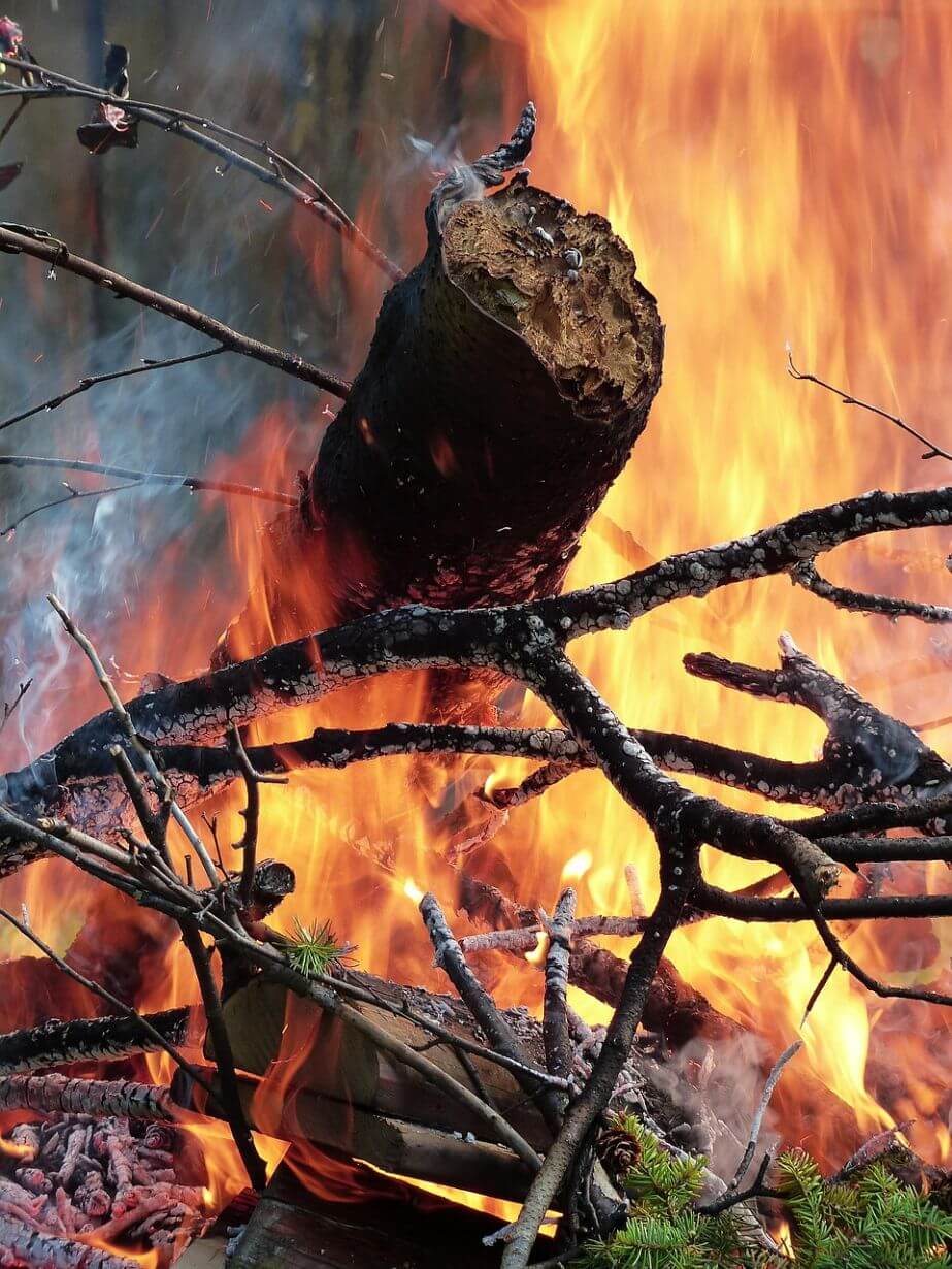 forest-fire